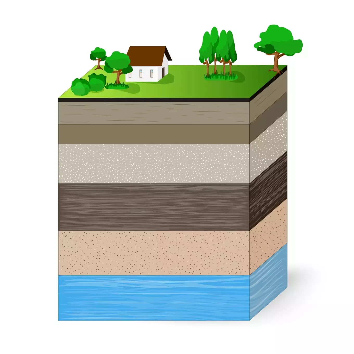 土壌断面の層