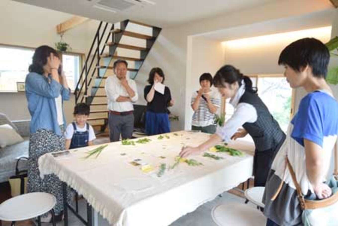 室内でハーブを並べる様子
