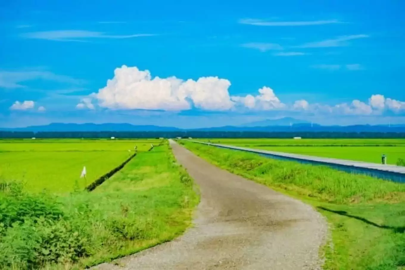 健康と快適性を手に入れるための住まいづくりのポイント