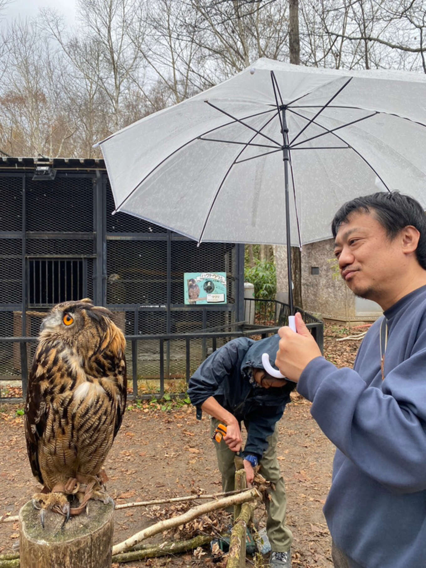 あきらとフクロウ