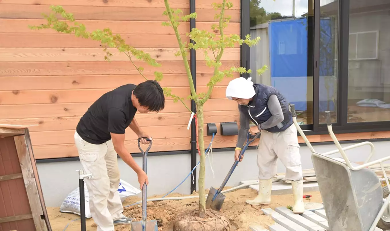 木を植える男性
