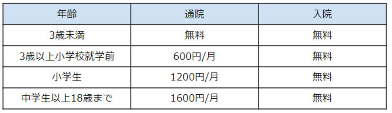 助成内容