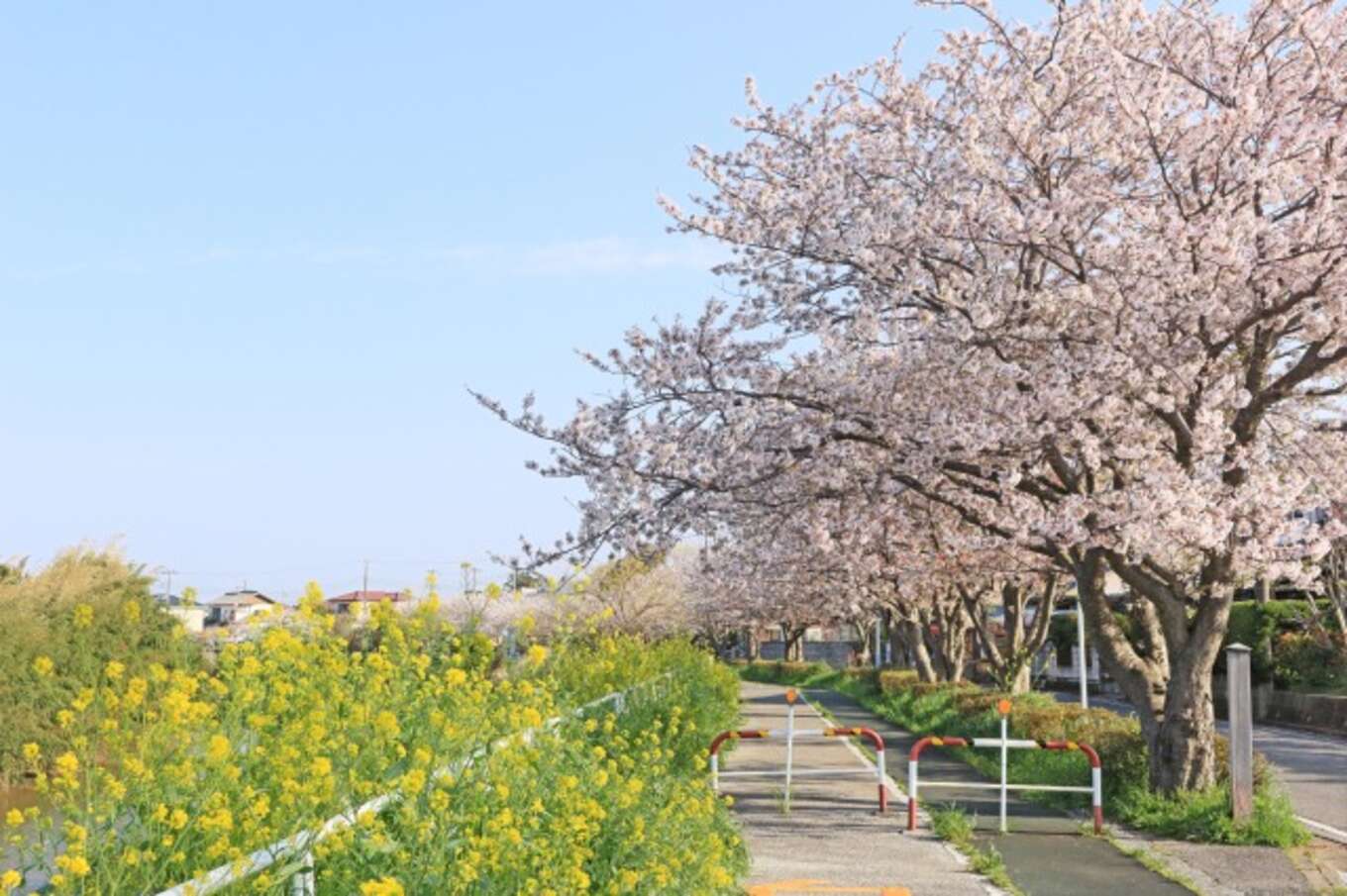 小糸川沿岸歩行者専用道(君津市)