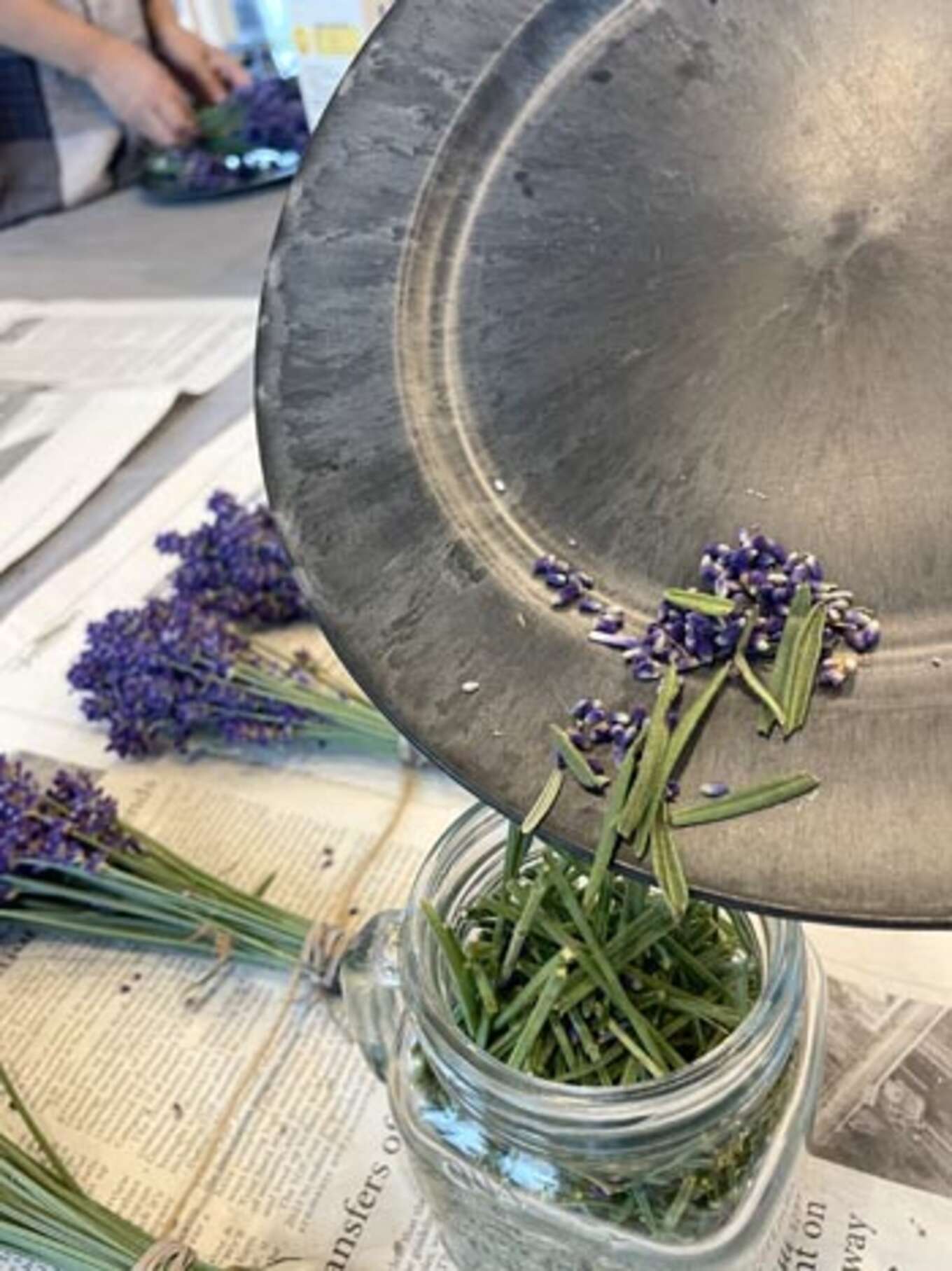 取り除かれたラベンダーの花や茎葉を広口のガラス瓶にいれる。 ちょうどいい感じに一杯になるサイズの瓶が用意されてるところに感心したり。