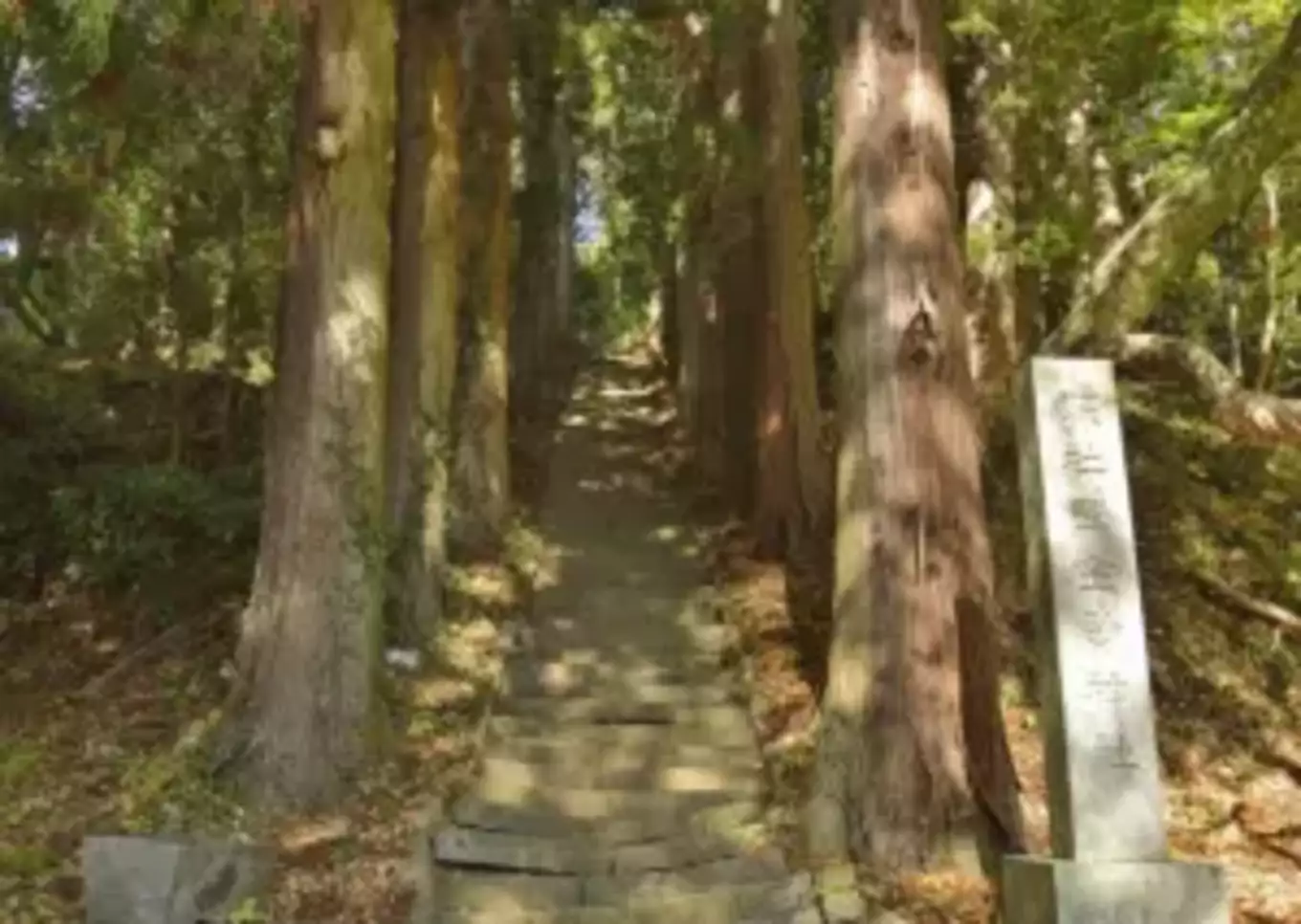神社の参道