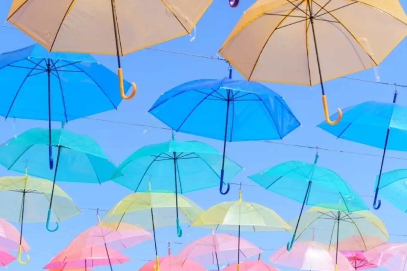 梅雨 傘