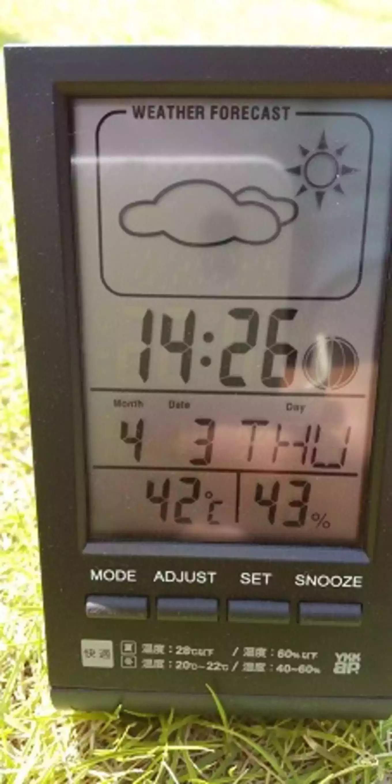 芝生の上に温度計