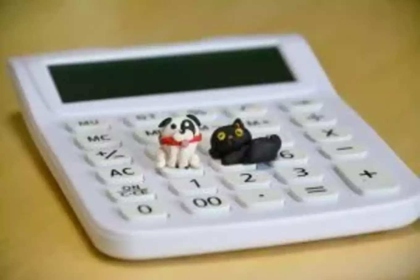 電卓の上に小さい犬と猫の置物