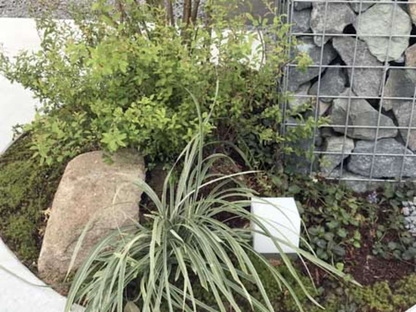 植栽