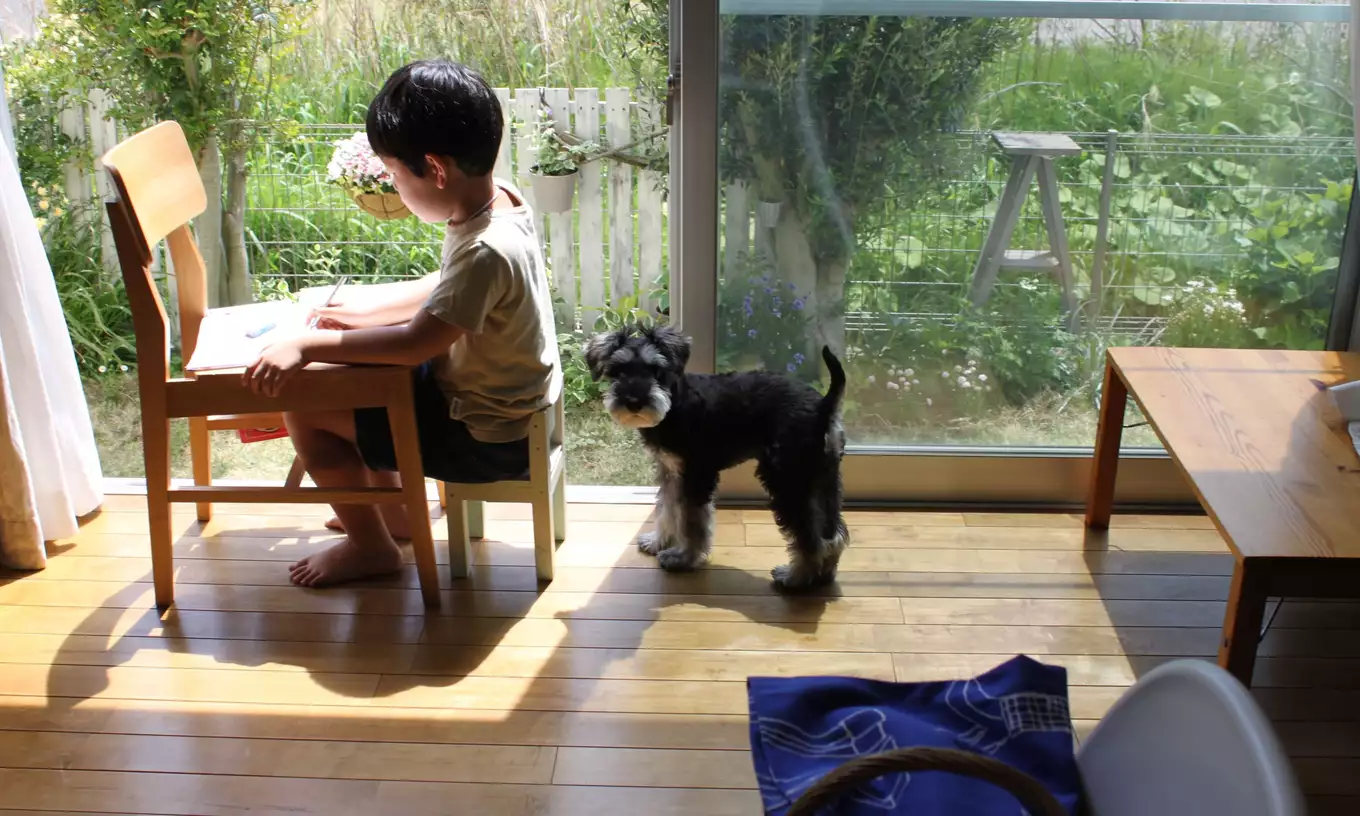 窓際で遊ぶ子供と犬