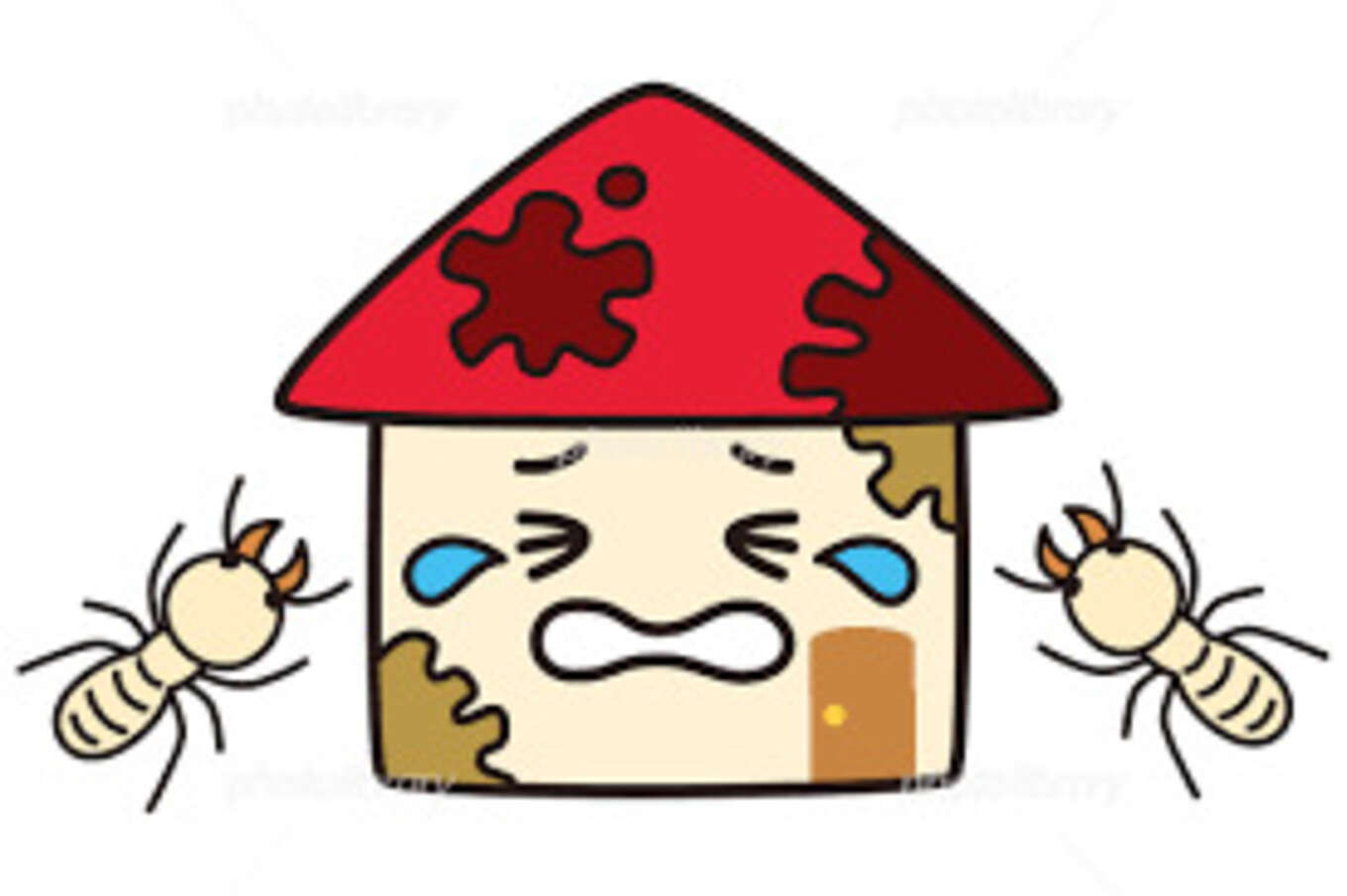 白アリと家のイラスト