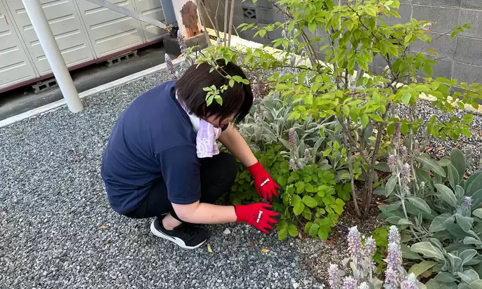 株式会社ハウスプランの家づくり写真