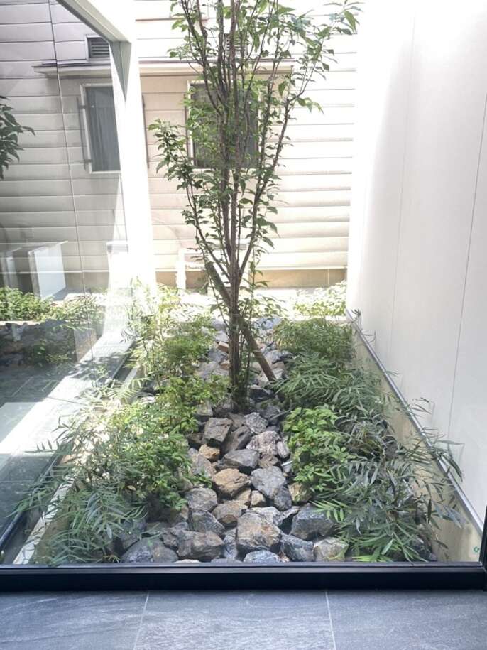 庭の植栽