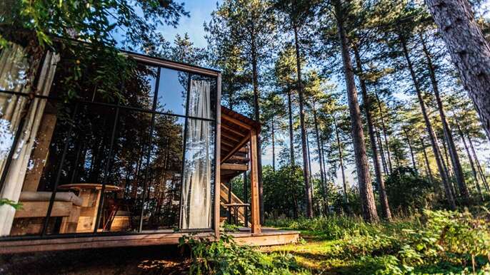 林の中に建つガラス張りの家