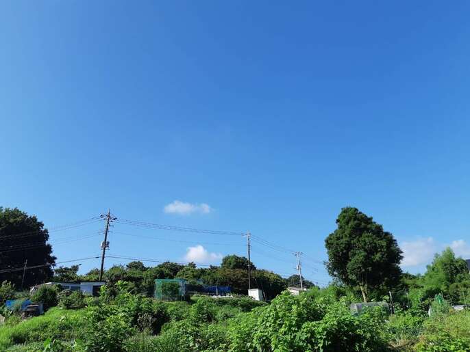建築予定地