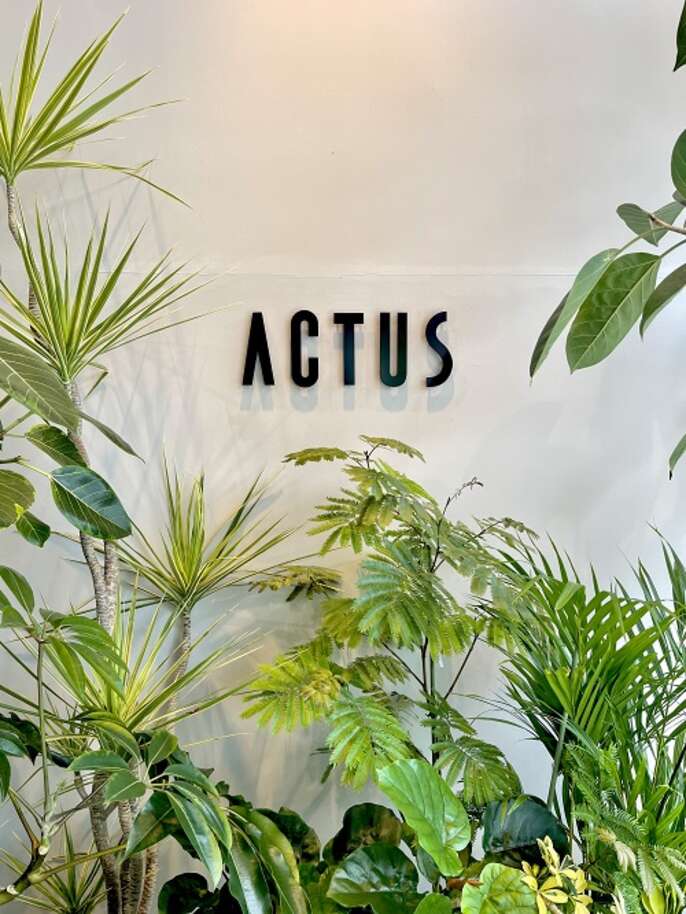 ACTUSのロゴと観葉植物