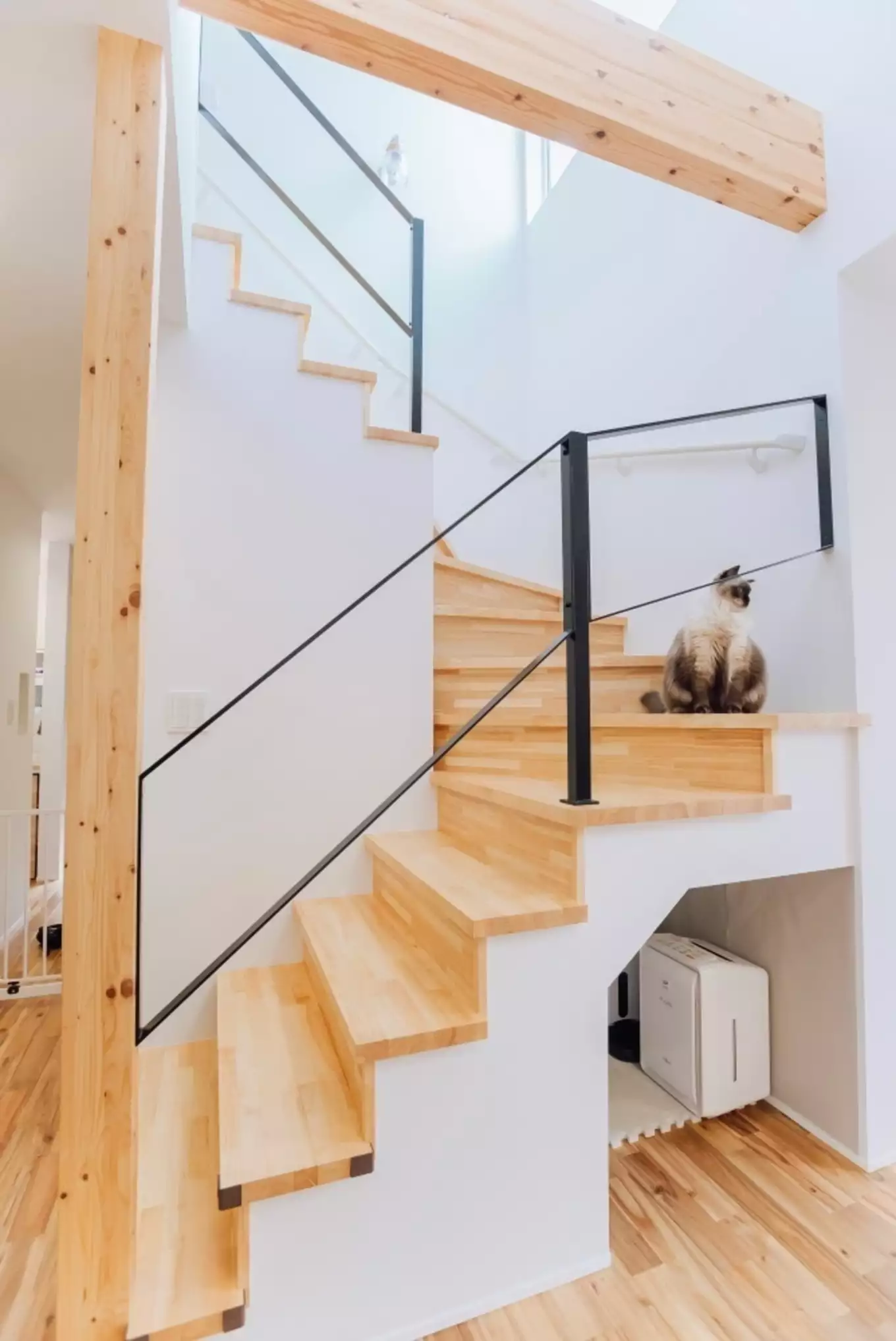 リビング階段と猫の写真