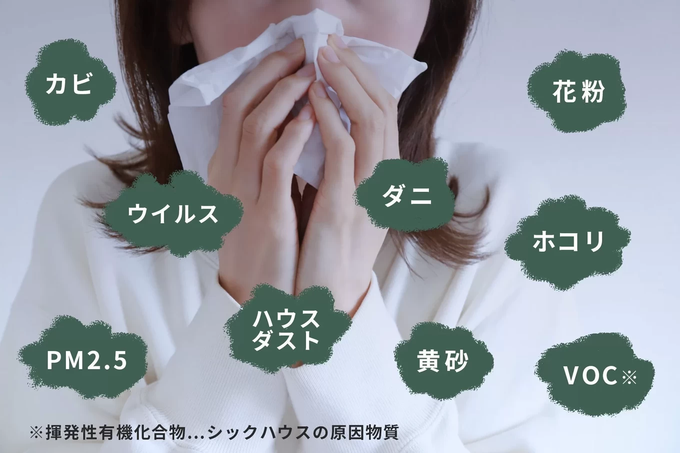 VITA  ARCHITECTUREの家づくり写真