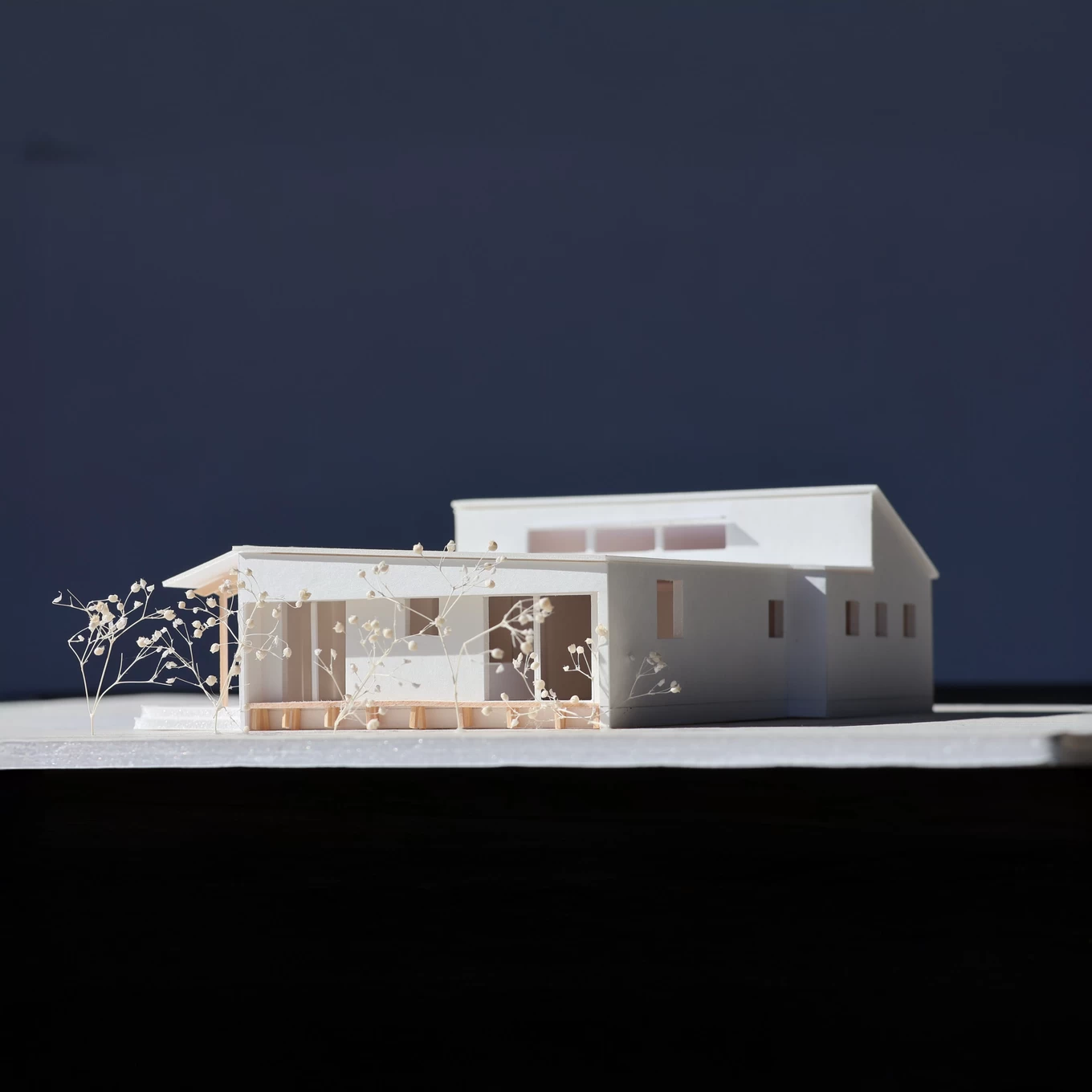 岩見建設有限会社の家づくり写真