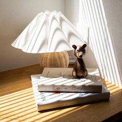 R＋house姫路南・赤穂の家づくり写真