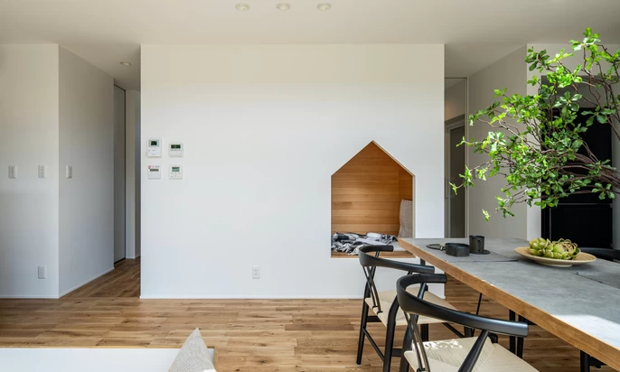 R+house徳島東の家づくり写真