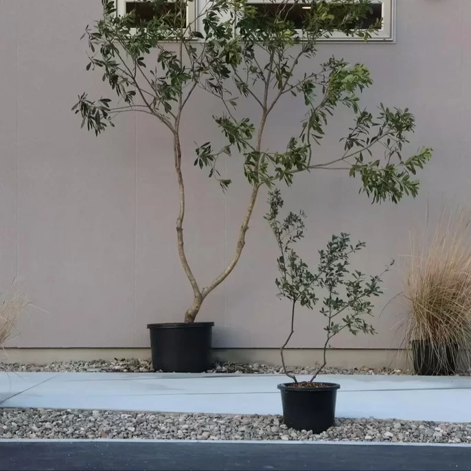 岩見建設有限会社の家づくり写真