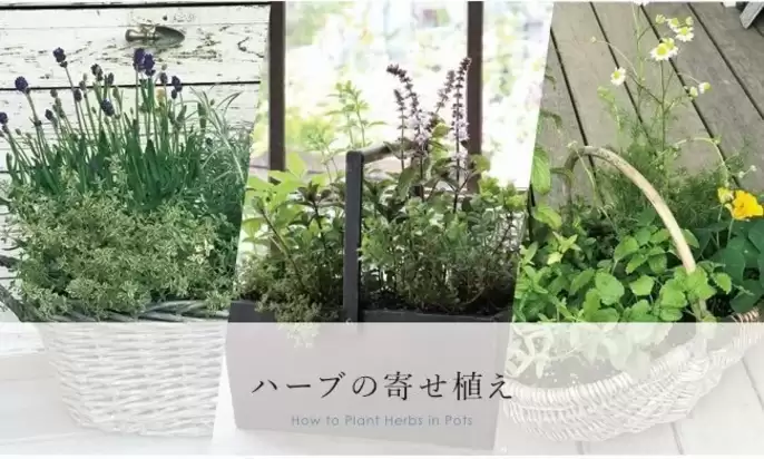 GARDENS GARDEN八代の家づくり写真