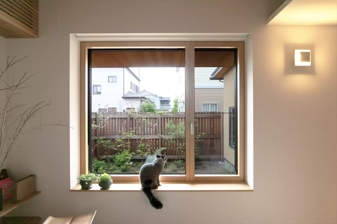 南側に設けられた木製窓からは緑を楽しめる。猫も心地よいのかすっかり定位置に。