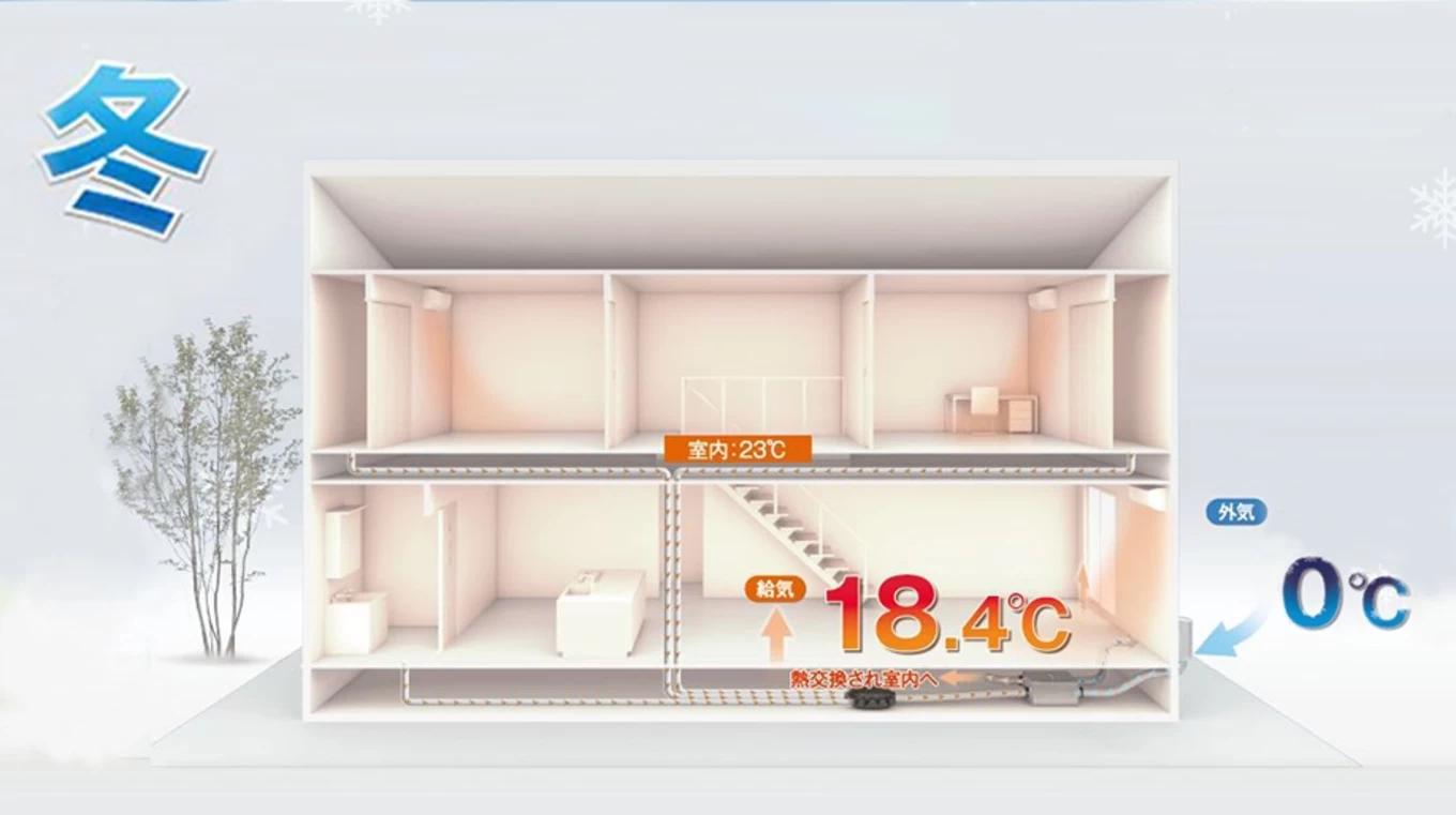 VITA  ARCHITECTUREの家づくり写真