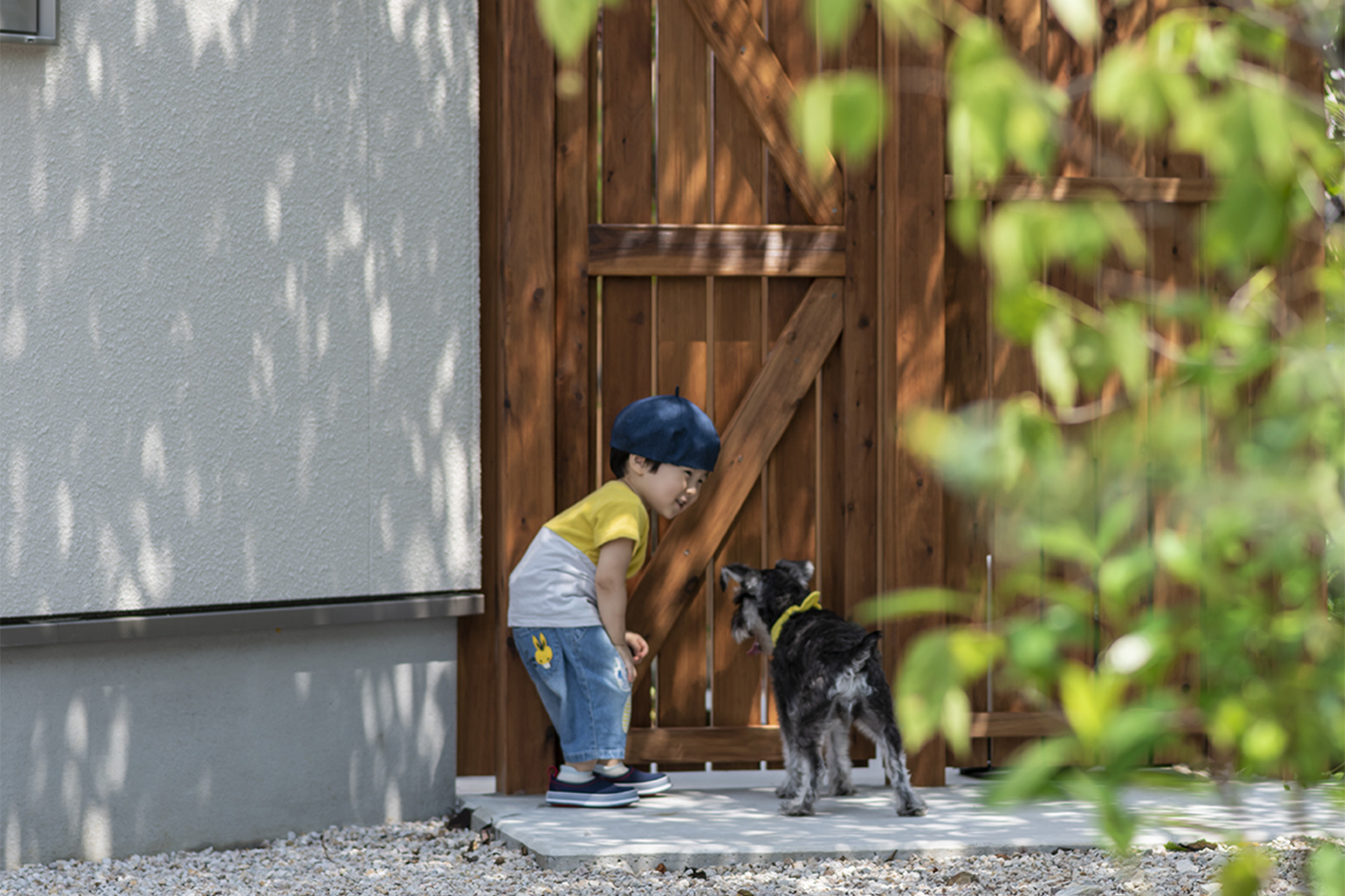 庭の子供と犬
