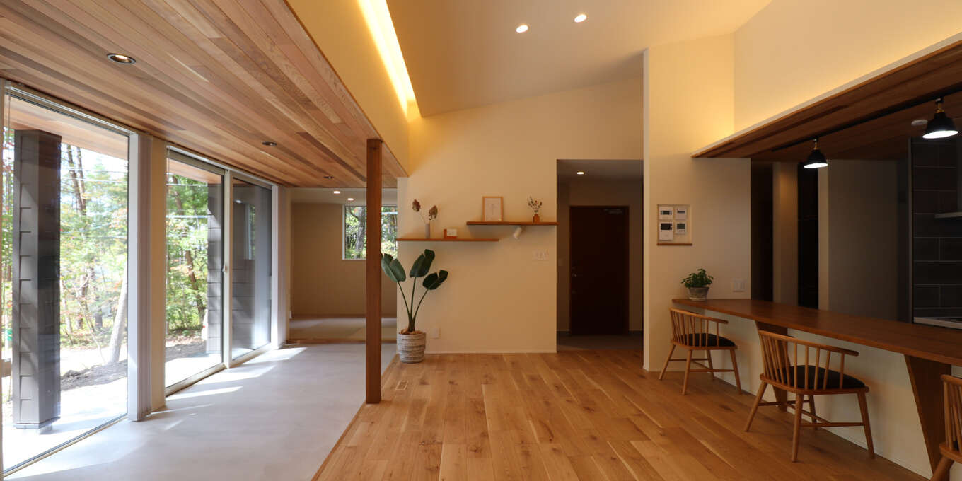 平屋,天井