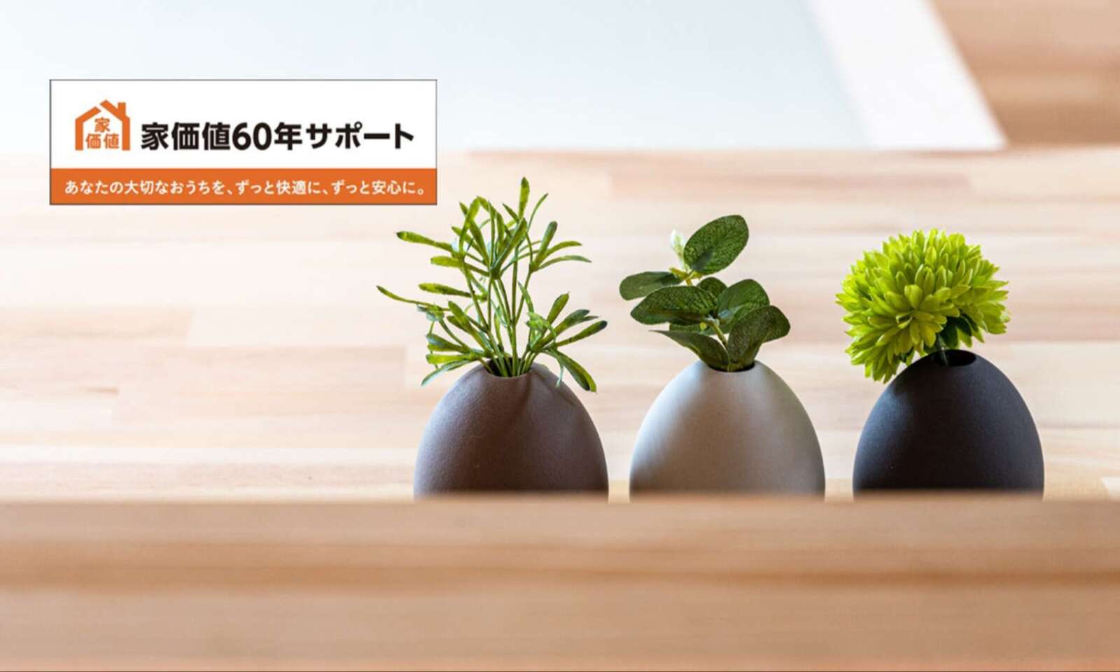 家価値60年サポート